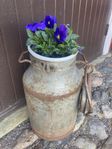 Gammal mjölk flaska med lock  Blomkruka 
