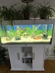 akvarium 220L/250L