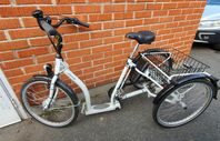 Pfautec Pfiff - Eco Classic 24'' elcykel.