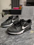 Nike Air Max skor