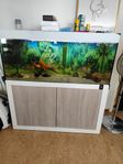 fisk akvariet+ möbler 360L med massor tillbehör 