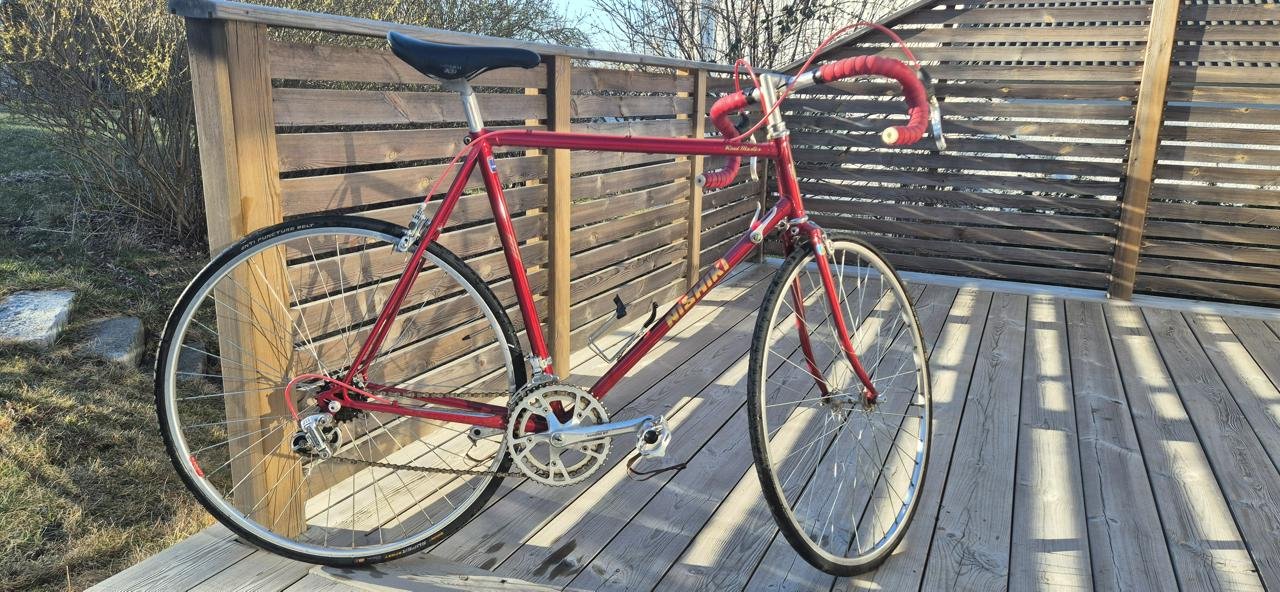 Vintage Nishiki Road master