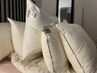 stora Kuddar 65x90