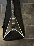 Gitarr och Gig bag