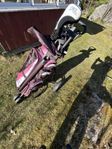 Golfset dam/ungdom