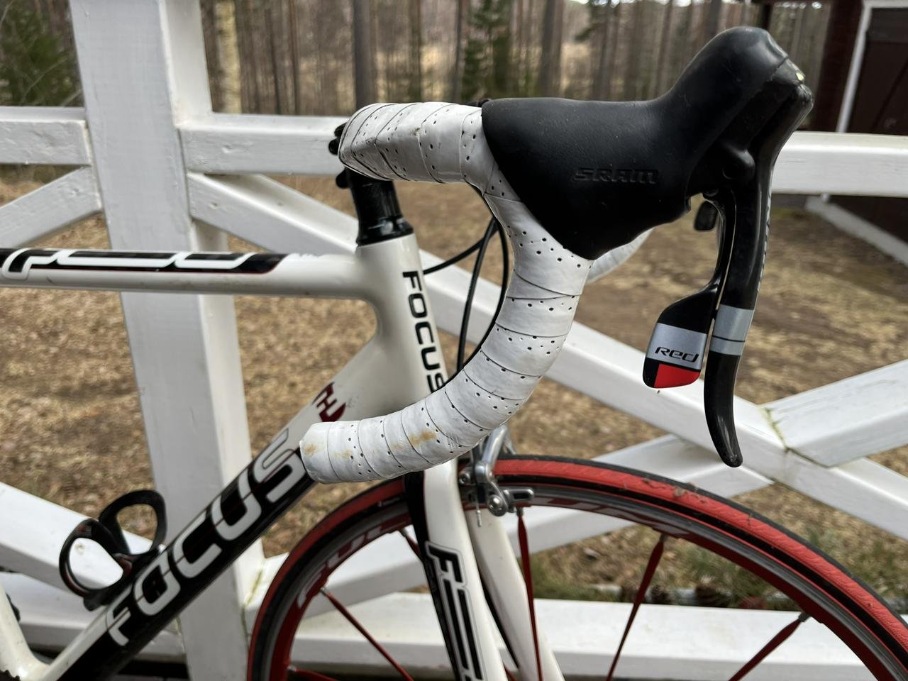 CARBON ROAD RACER FOCUS