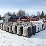 Ved 