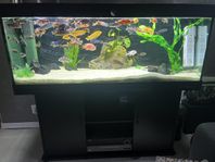 Akvarium 
