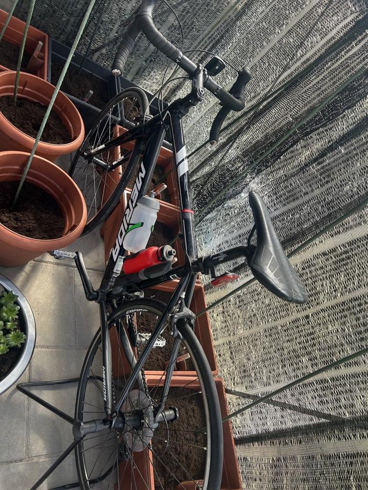 Merida 50cm