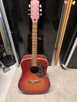 Gitarr renoveringsobjekt