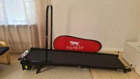 Dogpacer LF 3.1