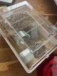 hamsterbur med tillbehör
