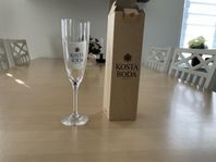 Kosta Boda champagneglas Chateau Bertil Vallien