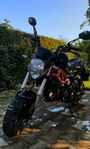 Seev Motard 2024 - Moppe 45km 