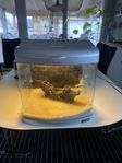 Akvarium ca 54L