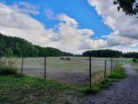 stallplats finnes