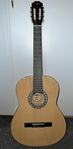 Gitarr Gear4music