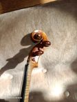1700 tals Violin