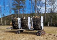 Ved Blandved Björkved 