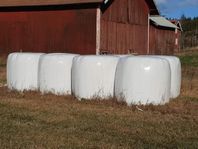 Hösilage