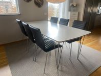 Stolar i skinn, 6st