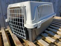 Kattbur, transportbur