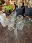 orkidékrukor i glas 
