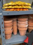 terracotta små krukor