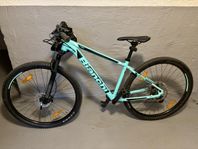 Bianchi Mountainbike