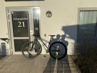 Trek Cykel