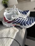 Nike air max plus paris