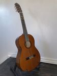 Akustisk junior gitarr 