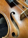 Stradivarius fiol