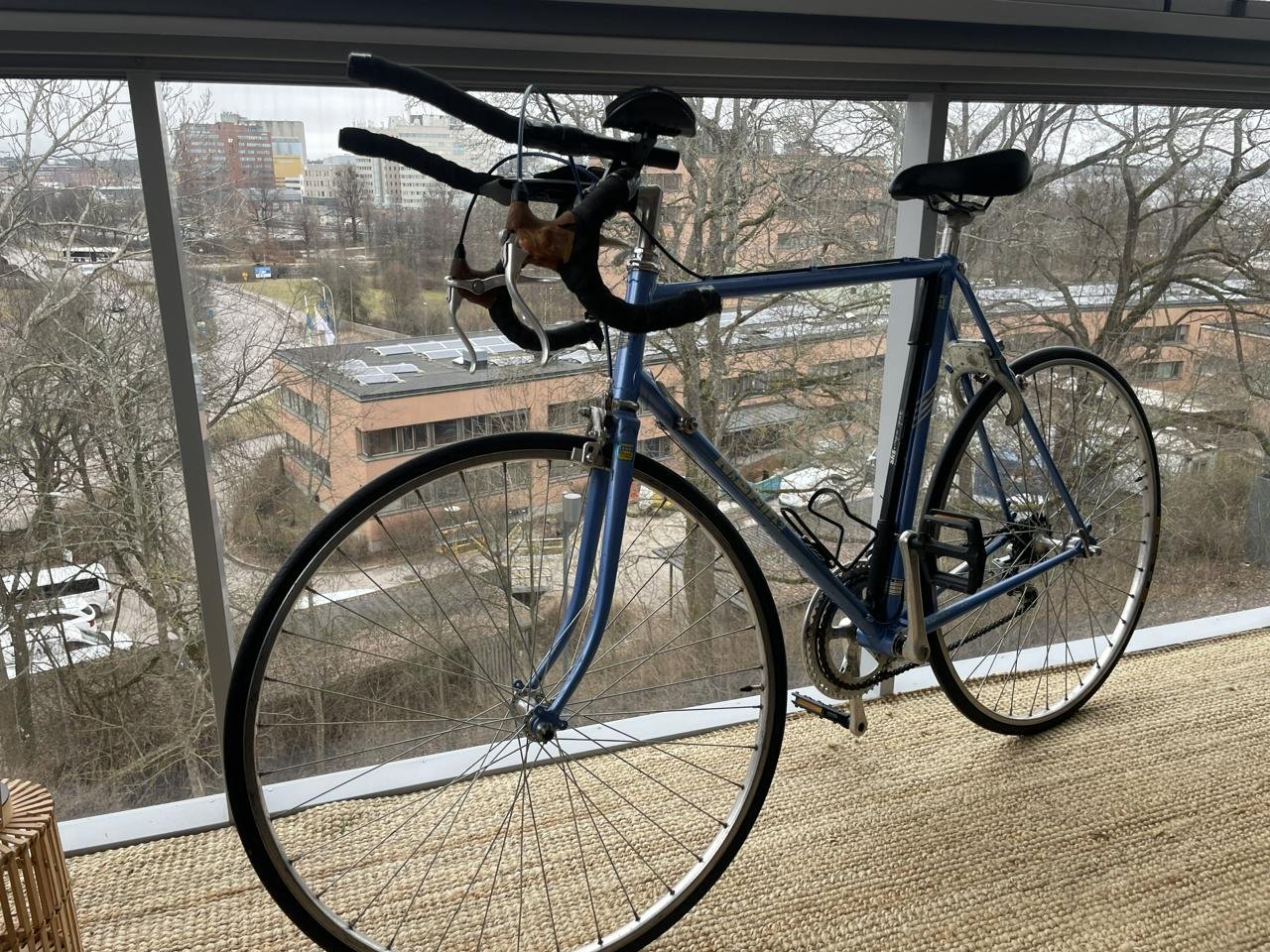 Racercykel Vintage Nishiki 1982