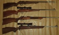 Vapen och reservdelar