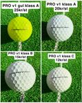 Titleist PRO V1 