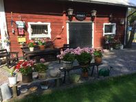Ledig Stall plats 