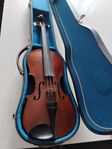 violin 