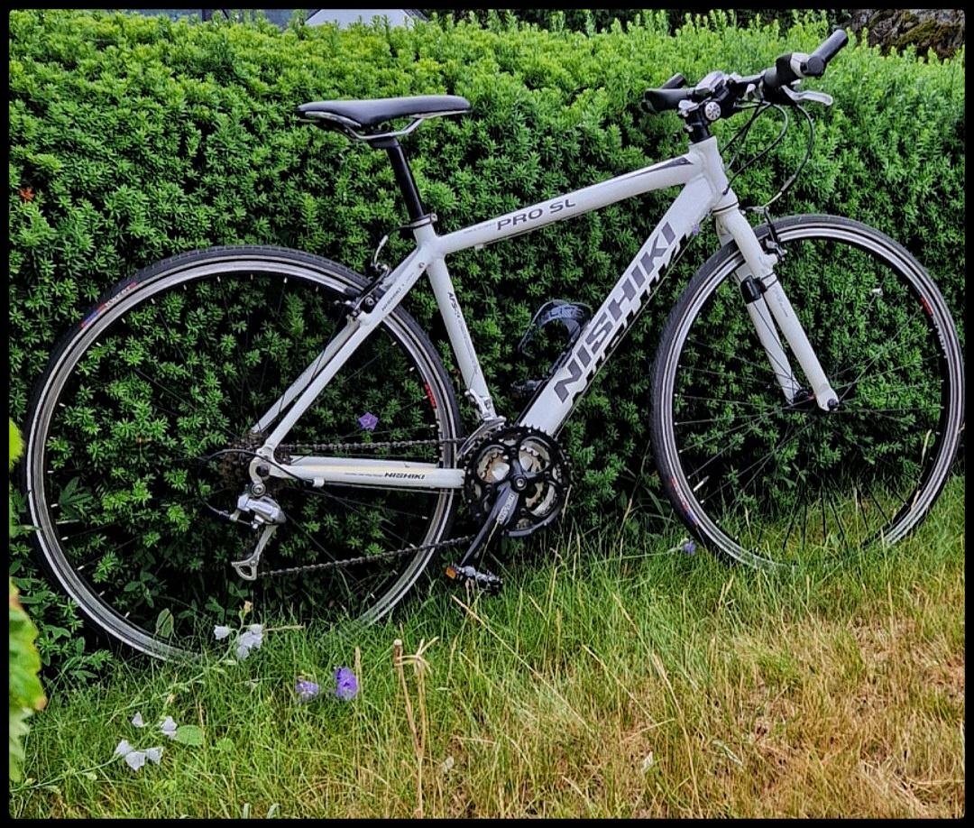 Nishiki Pro-SL small vit