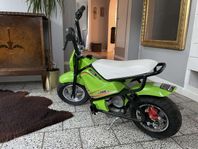 Elscooter 250W Lowrider