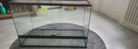 Terrarium 