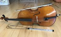 1/4 Cello