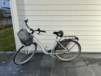 Flickcykel/ungdomscykel