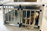 Bilbur hund en eller två hundar