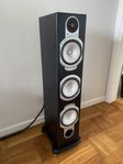 Monitor Audio Silver RS hemmabiohögtalare