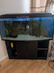 akvarium komplett med fisk