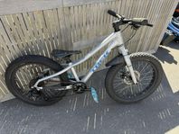 Trek Roscoe 20”