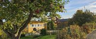 Kolonistuga Alnängarana Örebro 