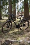 Helag 18vxl 55cm Mossgrön 