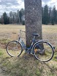 DBS Damcykel, äldre modell